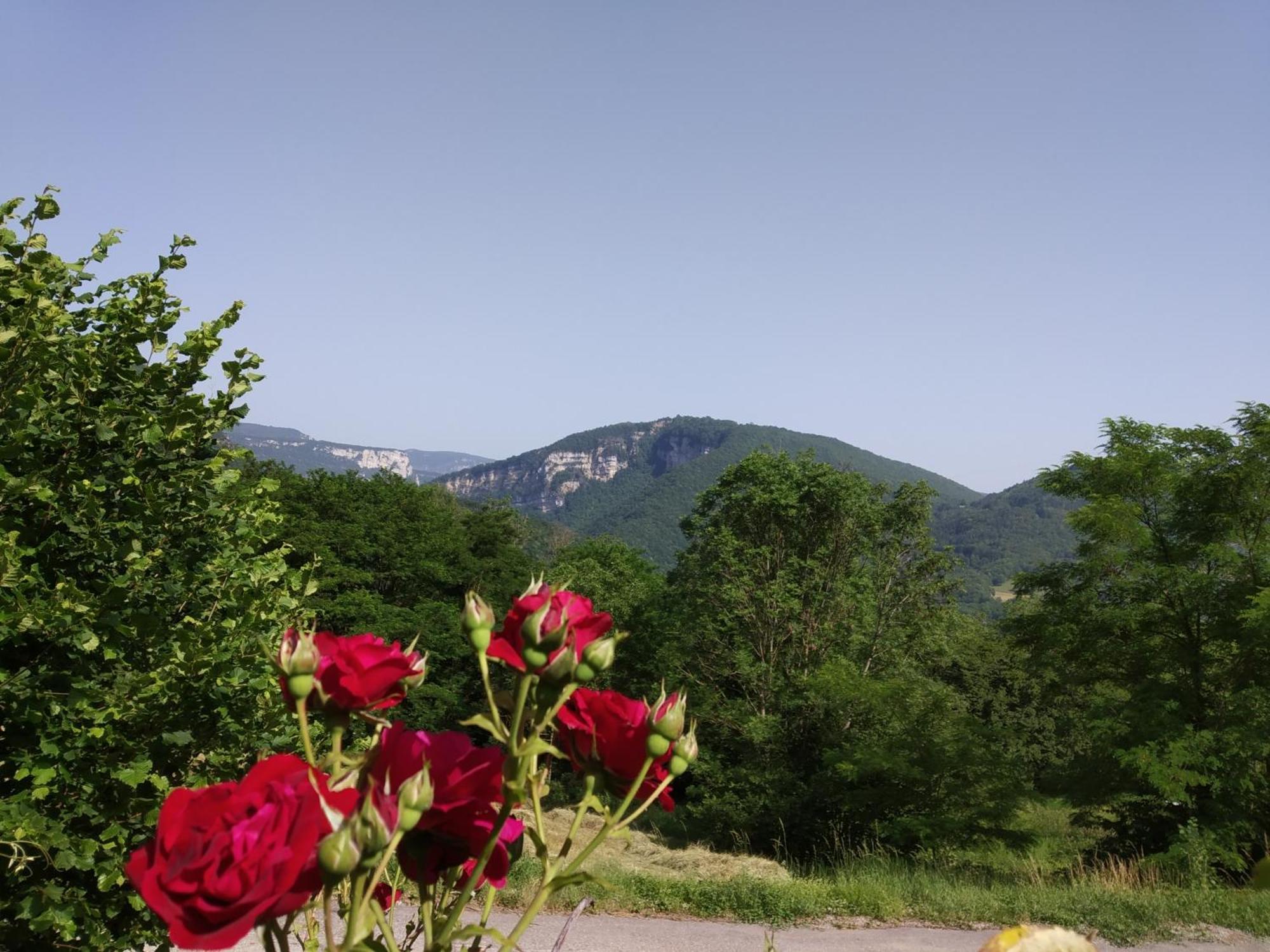 Au Chalet D'Anna Saint-Rambert-en-Bugey Екстериор снимка