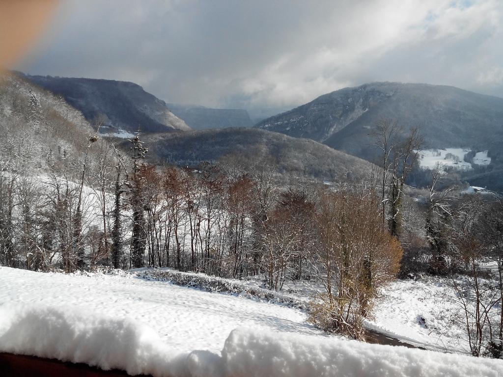 Au Chalet D'Anna Saint-Rambert-en-Bugey Екстериор снимка