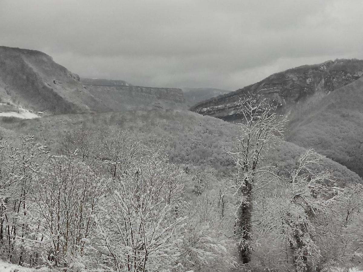Au Chalet D'Anna Saint-Rambert-en-Bugey Екстериор снимка
